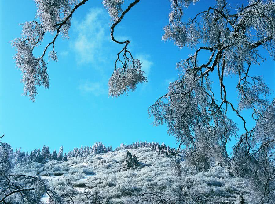 赏冰乐雪正当时