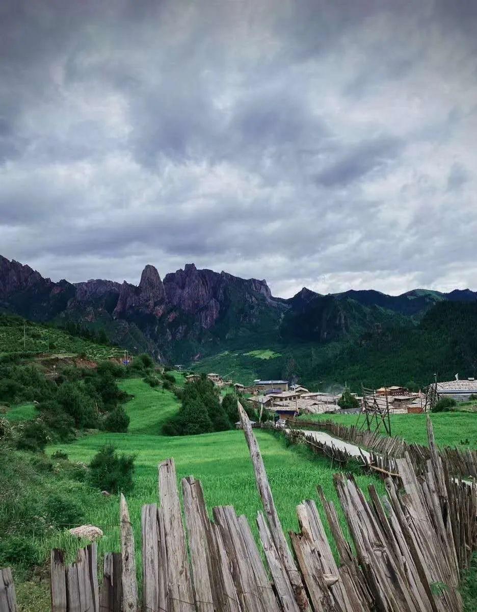 逃离壳牌岛