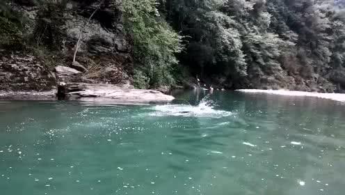 逗小猴开心系列206